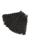 Burmese Curly